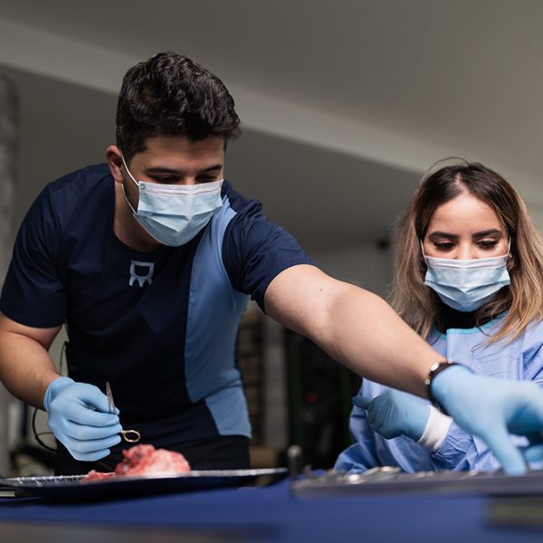 Masterclass Dental Education